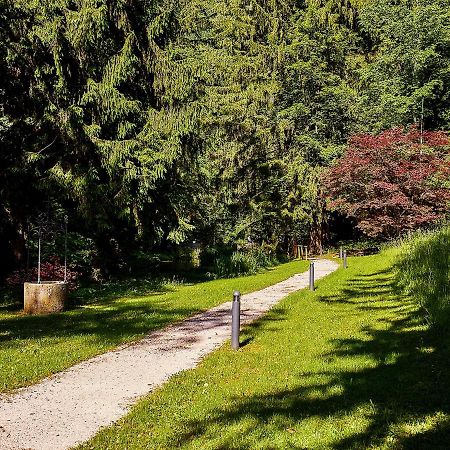 Villa Sawallisch 그라사우 외부 사진