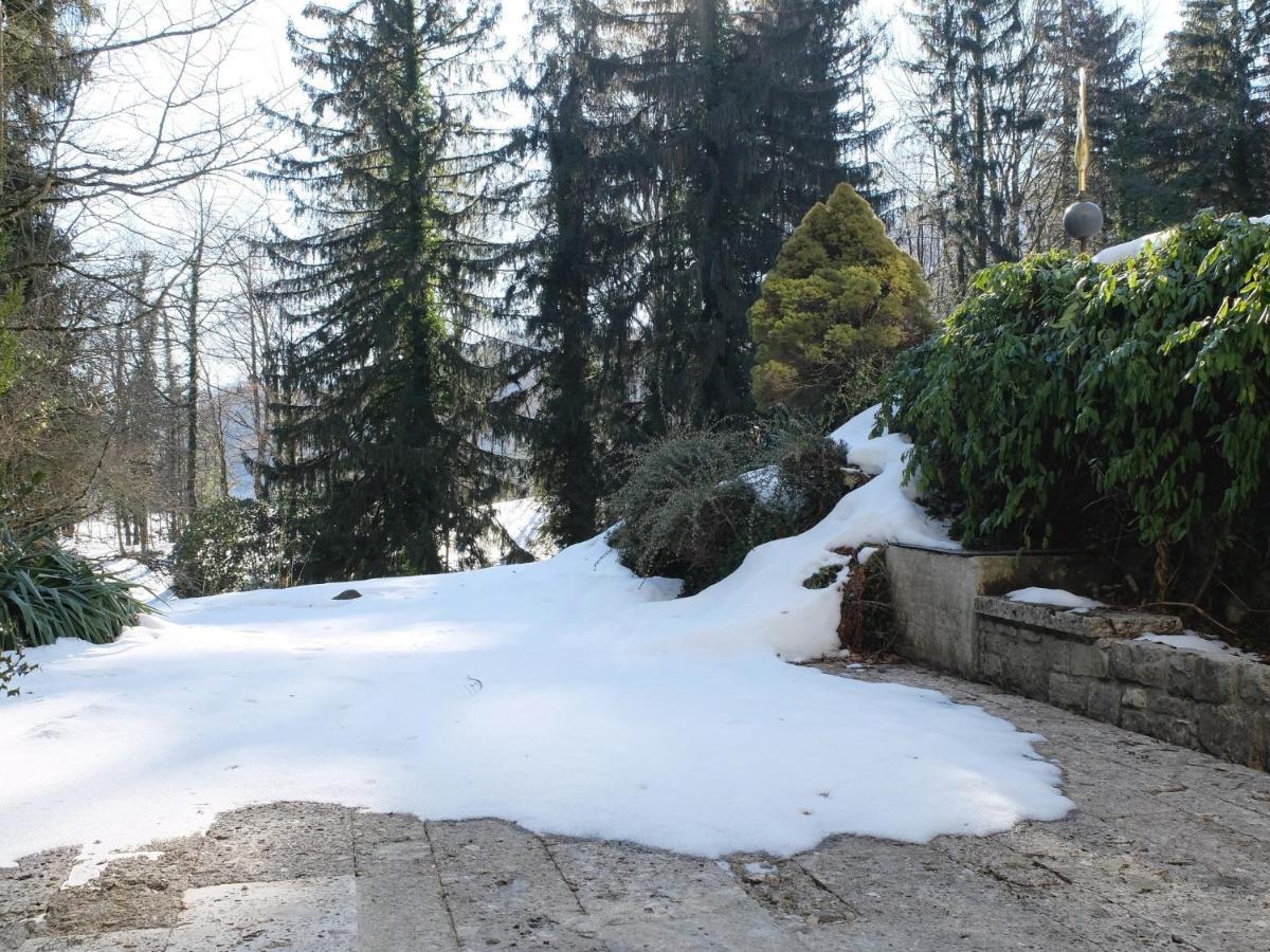 Villa Sawallisch 그라사우 외부 사진