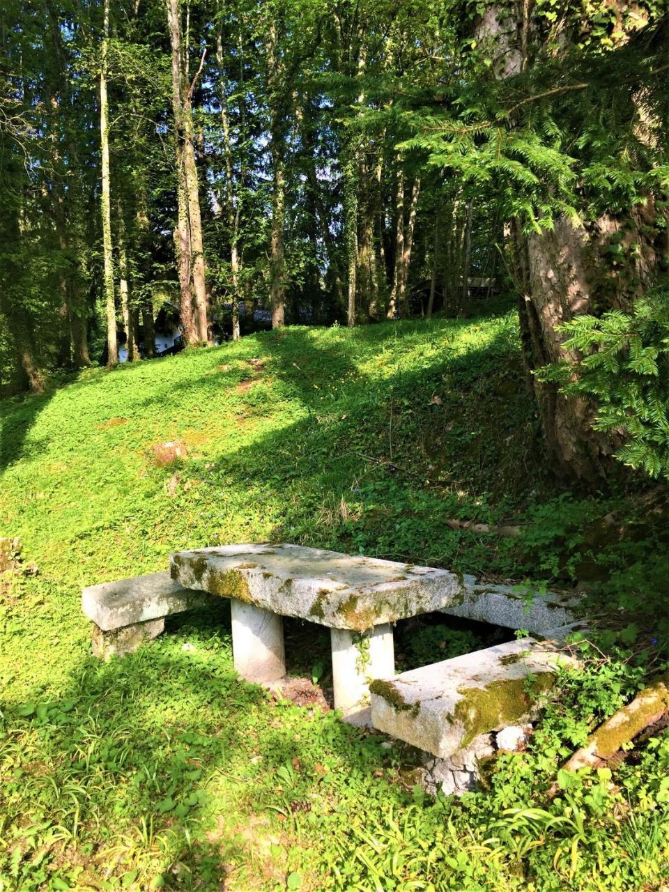 Villa Sawallisch 그라사우 외부 사진