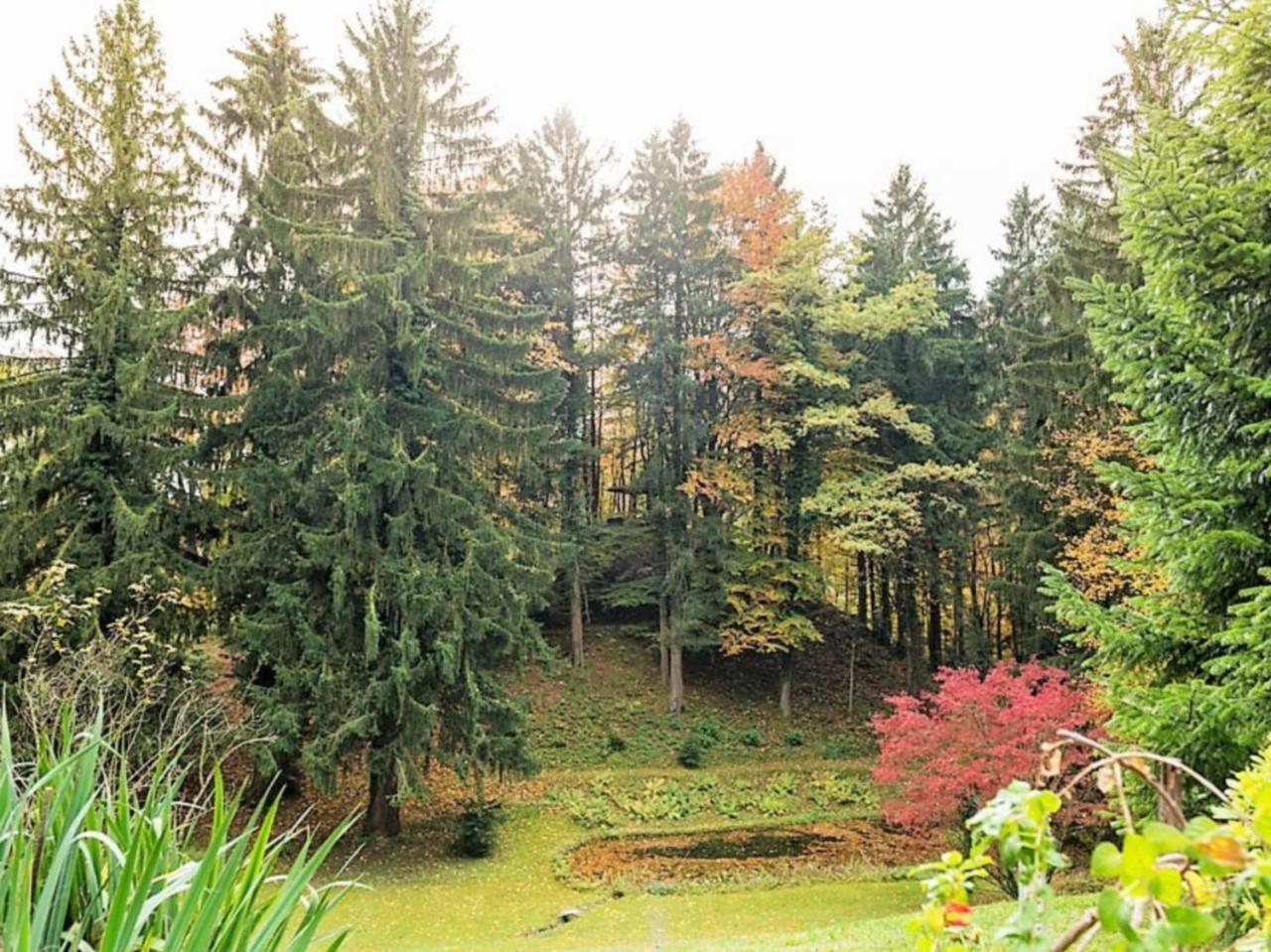 Villa Sawallisch 그라사우 외부 사진